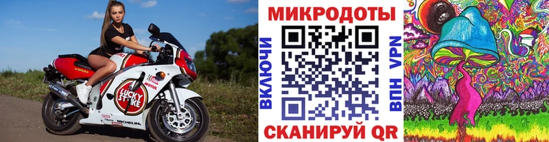 магазин    Фатеж  Псилоцибиновые грибы Psilocybe 